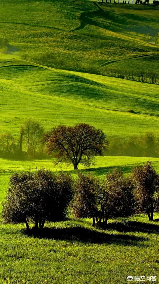 一路通跨境电商,为什么新疆新增十几例病例大家就特别紧张