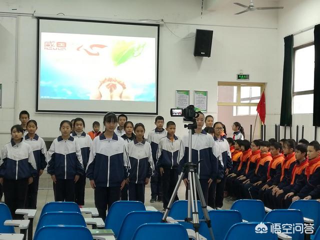 做一名合格的教师,一篇作文(500字左右):写给老师的一封信