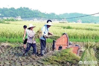 电商首先要怎么做什么,想从事自媒体或电商领域，手上只有两台手机和一台电脑，请教大神该怎么做