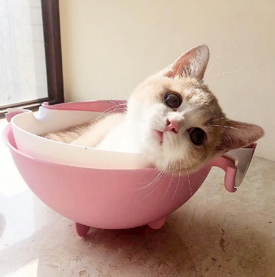 怎么让男生越来越喜欢你图片,却因自卑不敢和我表白