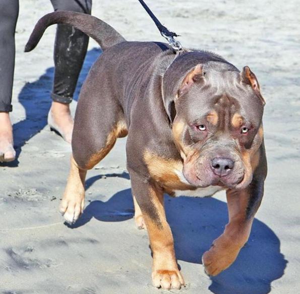 如何让不喜欢自己的男生喜欢自己,是不是男生都喜欢那种弱弱的