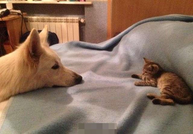 怎样跟老公撒娇让老公哄,向老公要新年红包如何幽默的说