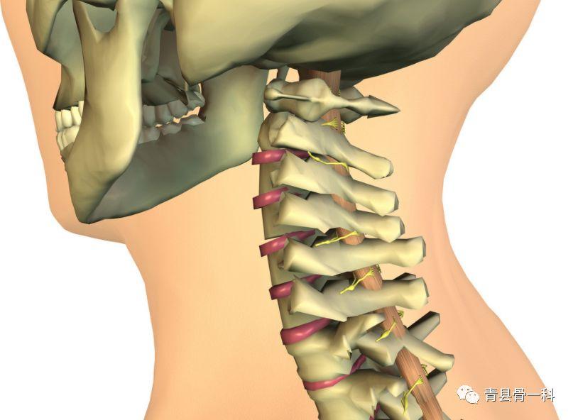 颈椎病会引起哪些不适症状,颈椎病的主要症状和类型