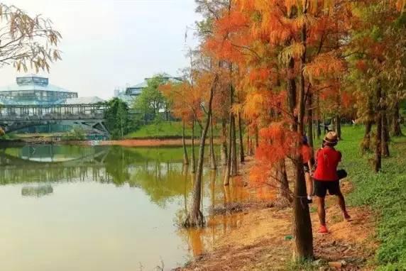 元旦是什么意思,庆元旦的内容怎么写