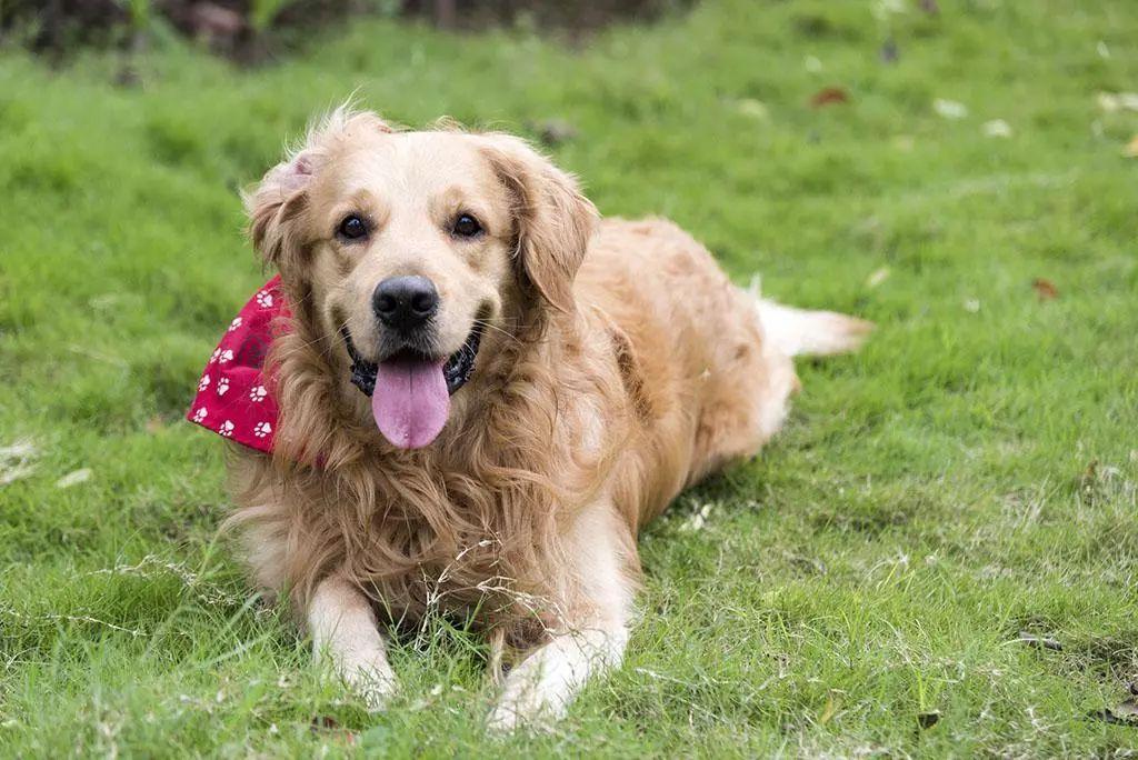 性格测试,华为性格测评注意什么