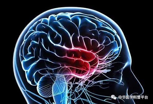 眩晕症是什么原因导致的,头晕是什么原因