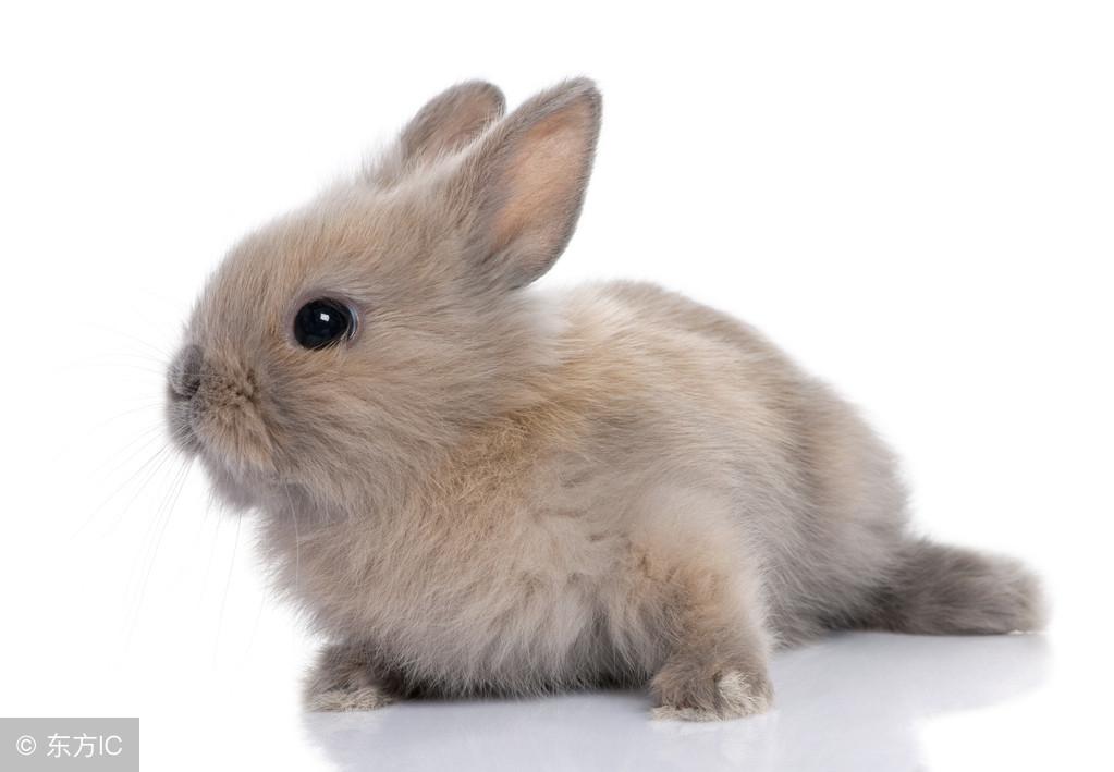 1963年属什么生肖1963年农历8月9日其公历是哪天