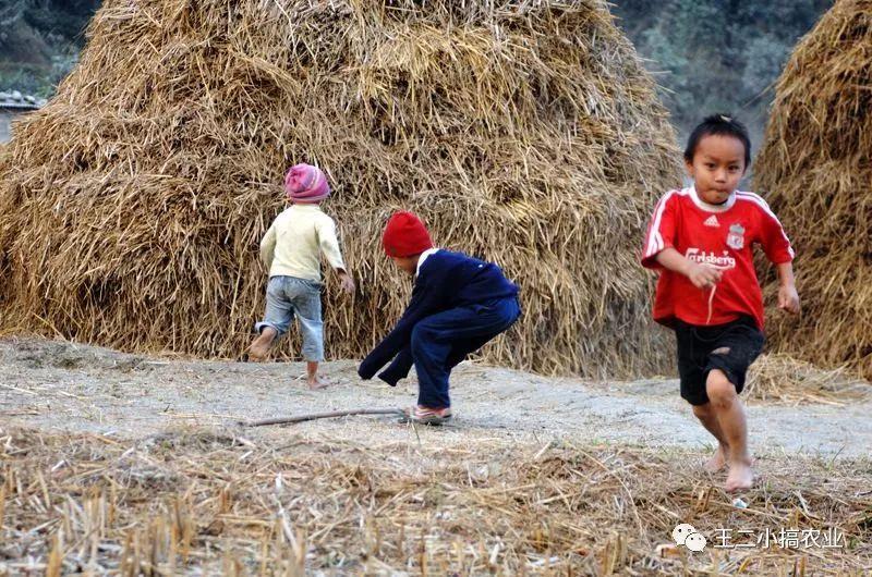 爱在男人堆里的女人湘云把戏子比作黛玉