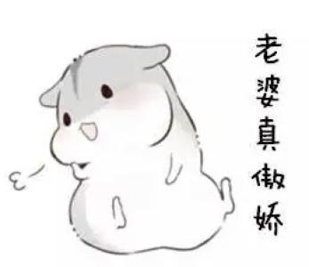 各种哄老婆的表情包有哪些可以瞬间化解矛盾哄女朋友开心的表情包