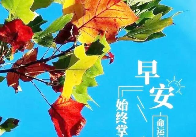 高情商早安问候方式简单短语,你们都听说过什么野史