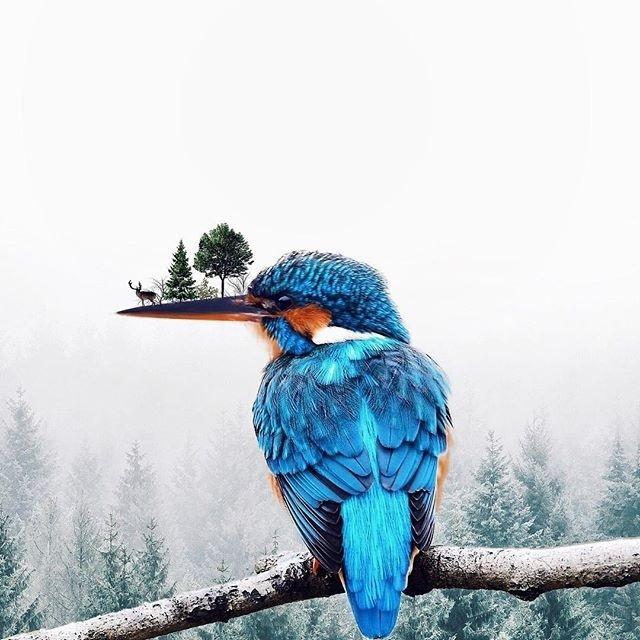 男人最爱听的5句情话短句你收藏了很久的一句情话是什么