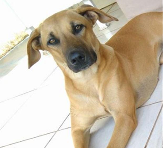 为什么男生喜欢女生叫他主人国民公民居民百姓群众之间有什么区别