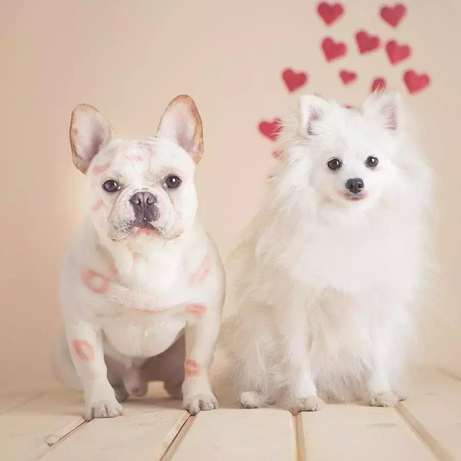 好听的情侣cp组合名称干饭人情侣名