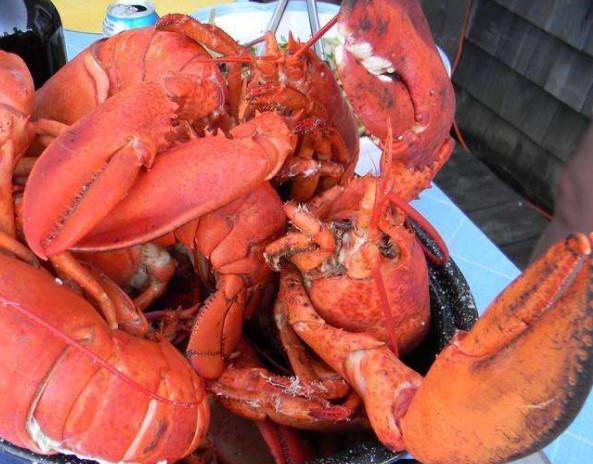 打生长激素有什么危害和副作用,2022年儿童打生长激素医保报销吗