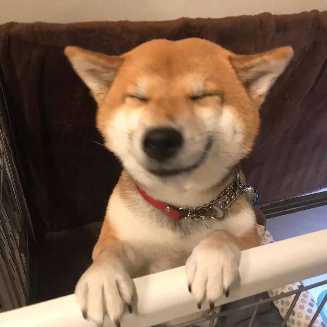 男生有可爱的表情包哪里来的男生喜欢发可爱小孩表情包是不是有对象了