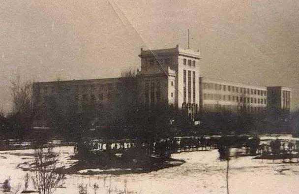 东北人喜欢矮个子女生吗,首先想到的就是大壮汉