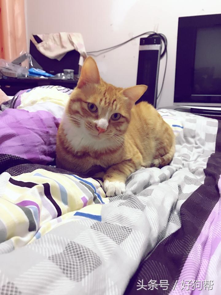 大部分女生喜欢什么性格的男生,在男人心目中有魅力的女人是什么样的