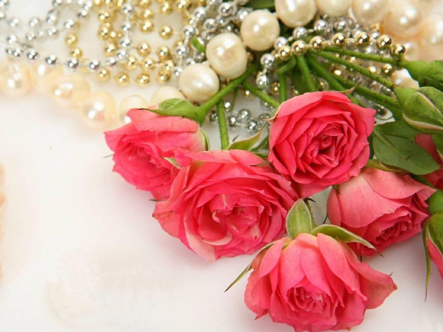 sub是什么意思SuB是什么意思DvL又是什么