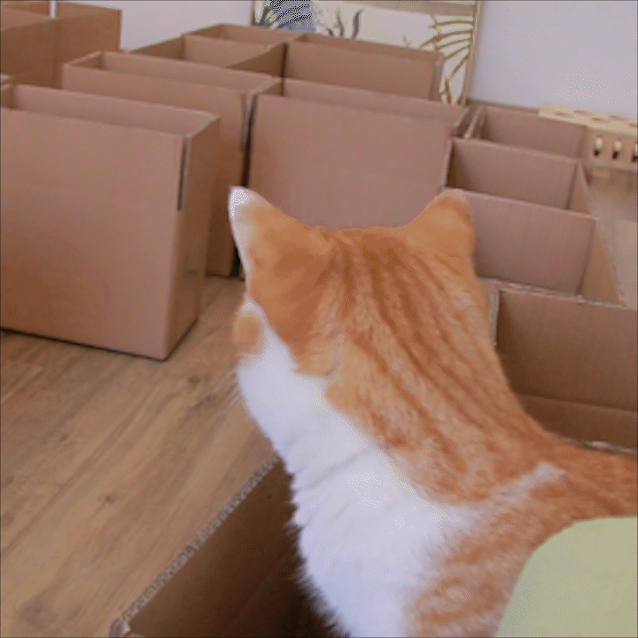 适合新手的网站排行榜,新手买二手车去哪里买靠谱