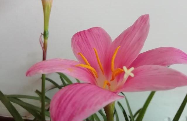 男孩子喜欢女孩子干什么男生怎么才能容易的吸引女生呢