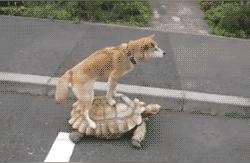 男生说女生很害羞一个男生说一个女生很害羞