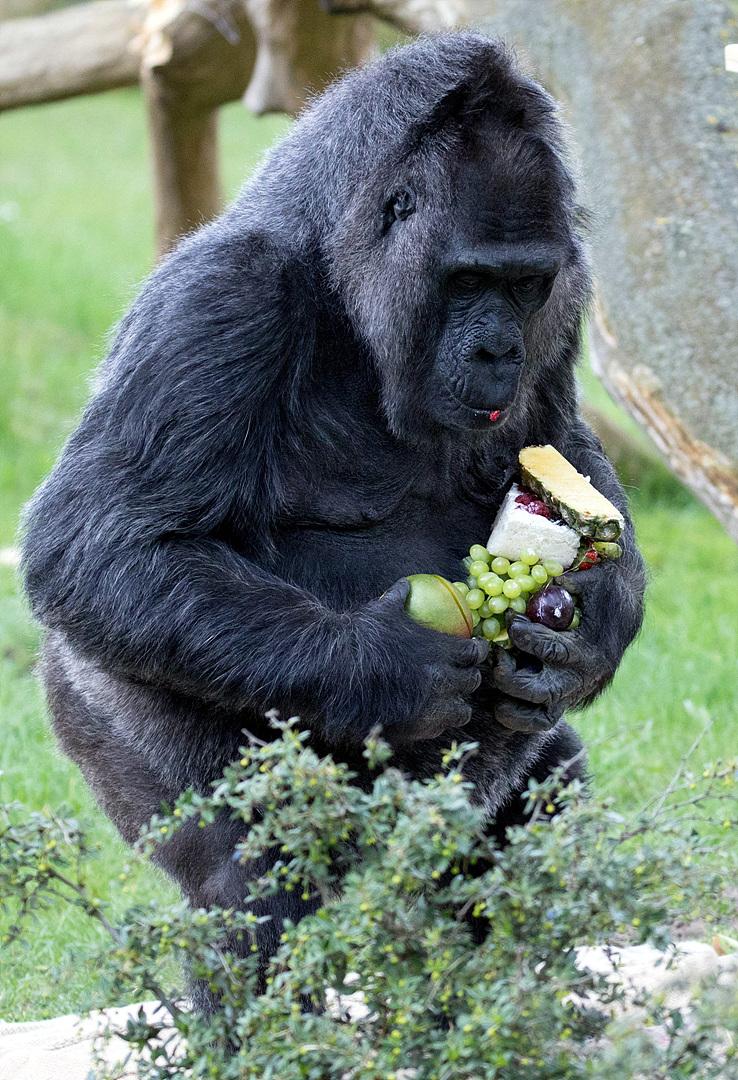 60岁男人高档生日礼物爸爸60岁生日该送来宾什么做回礼