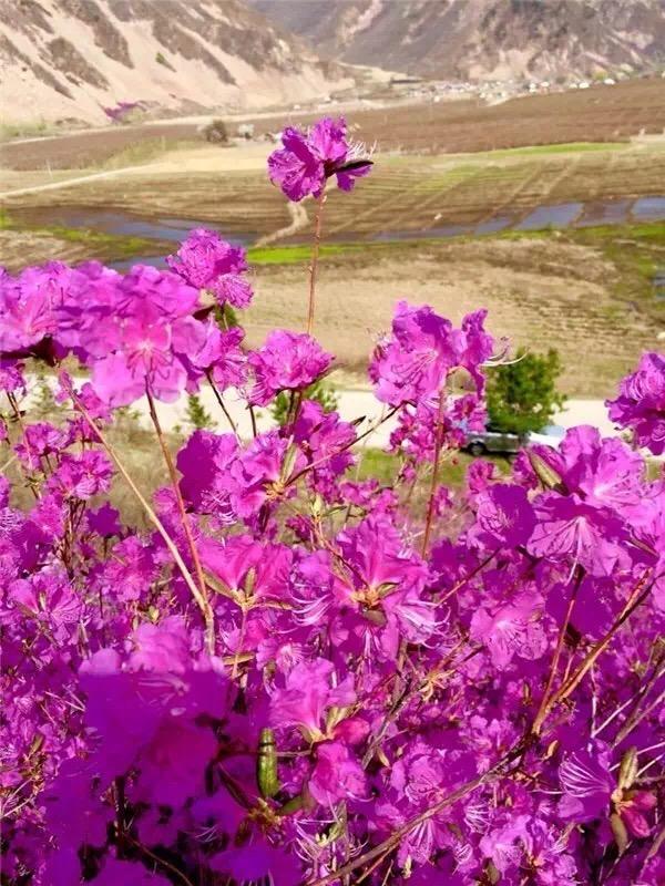 越漂亮的女人男人越喜欢男生有多看重一个女生的身材