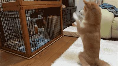 又可爱又有点小坏的女生男人怎样的坏反而会让女人更加喜欢