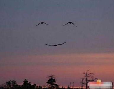 和女生聊天的幽默句子,和美女聊天的时候第一句应该怎么说