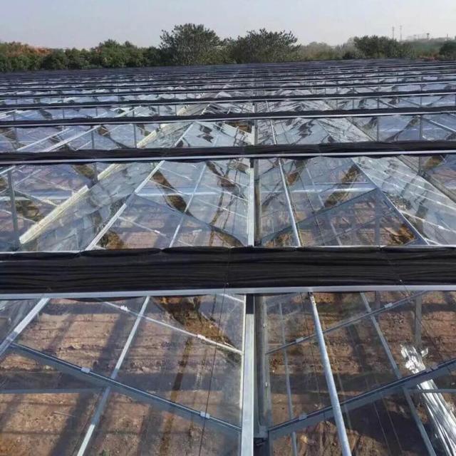 一亩地是多少平方米一亩地按国家标准能盖多少平方米房子