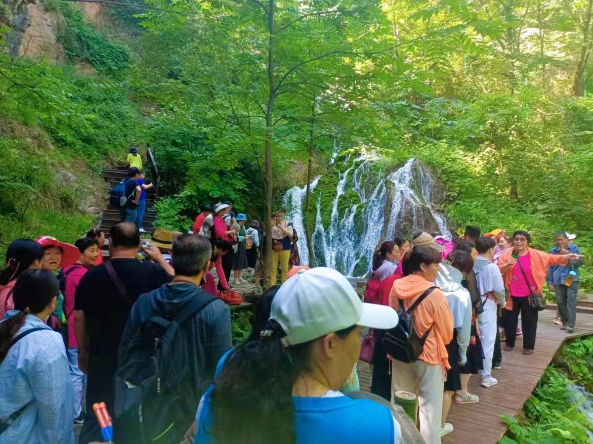 老年人适合去哪旅游,请问一个人去好还是参加旅游团好呢
