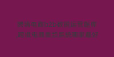 跨境电商b2b数据运营题库,跨境电商卖货系统哪家最好