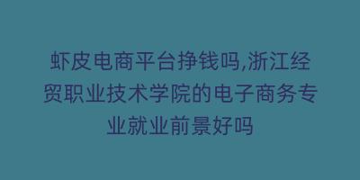 虾皮电商平台挣钱吗,浙江经贸职业技术学院的电子商务专业就业前景好吗
