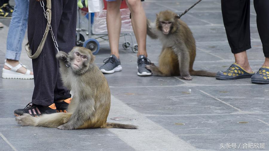 为什么男孩子喜欢男孩子抱女孩子,男生抱女生有哪些抱法