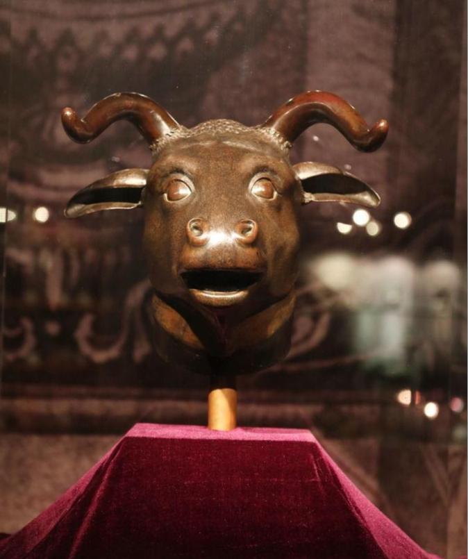 2000年属什么生肖你知道的最震惊的冷知识是什么