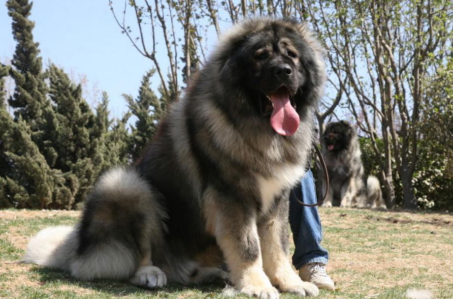 女生喜欢男生的体重范围体重上3位数的女生