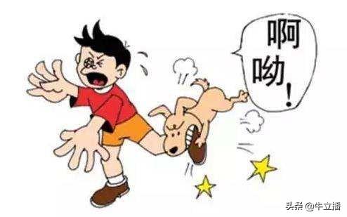 优秀员工心得报告,工作的感受来自哪里