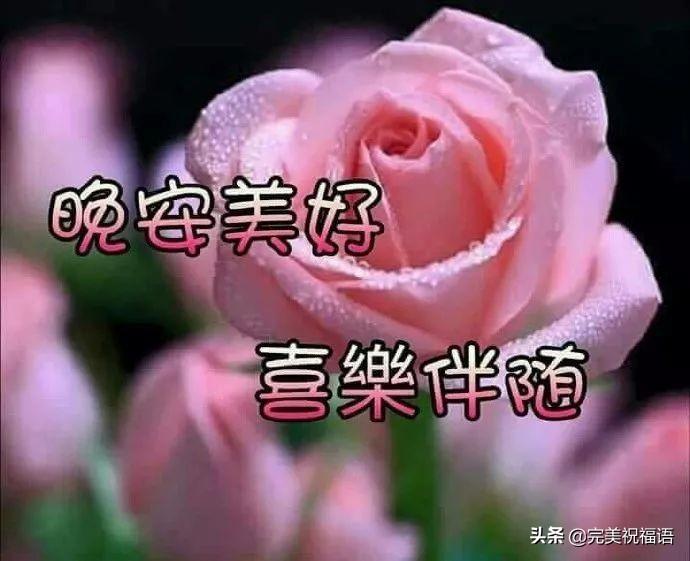 给情人的暖心话图片有哪些强撩女友的句子