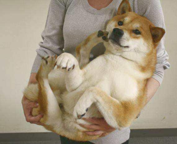 男生会随便让女生抱吗,你觉得的哪一点吸引到了你