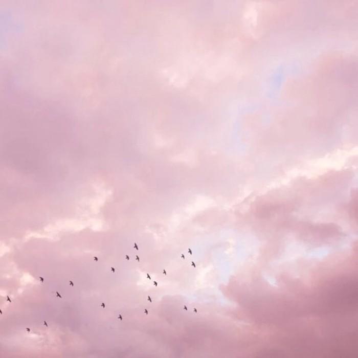 最喜欢的一句话你最喜欢哪个城市