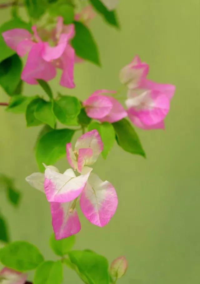 男的可以长高到几岁结婚身高175的男生真的找不到女朋友吗