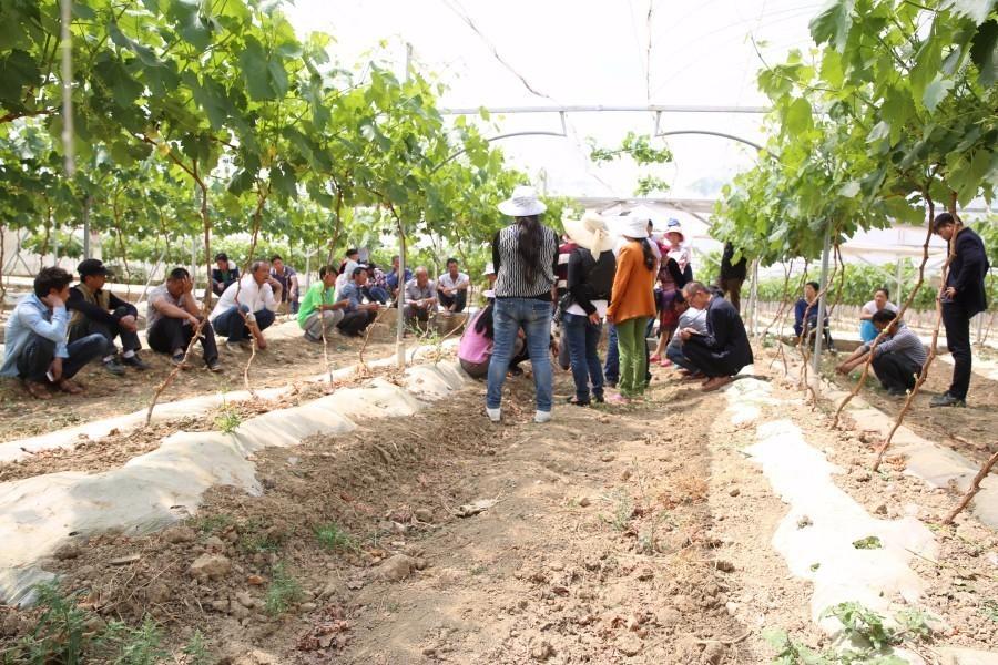 学什么技术一辈子都不愁,俗话说天干饿不死手艺人