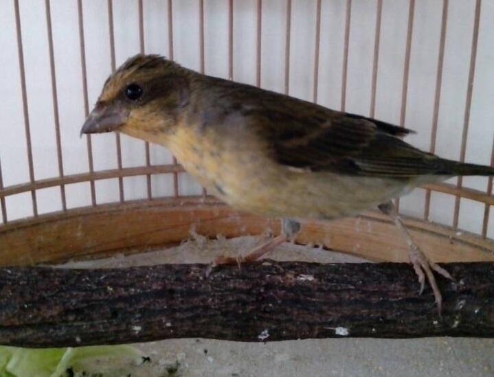 为啥我喜欢长得像女生的男生呢为什么有些女孩子天天穿高跟鞋