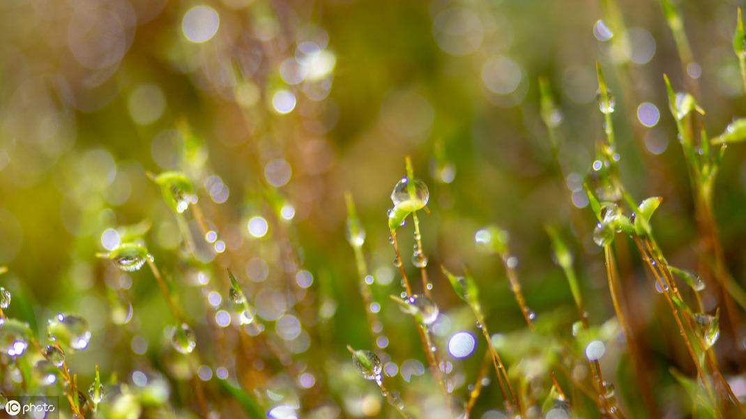 明白一些事 看清一些人真正活得明白的人不多你怎么看