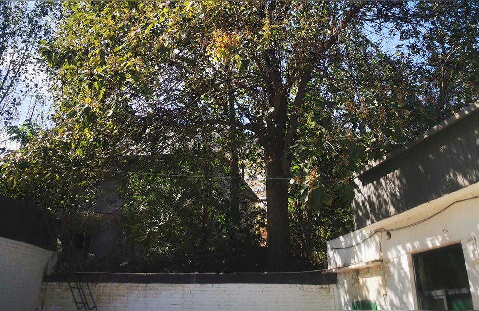 男生让你摸哪个地方表明她喜欢你女人同意你摸她的手意味着什么