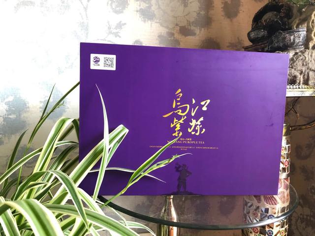 网站网址怎么找,怎么查看电脑主机ip地址