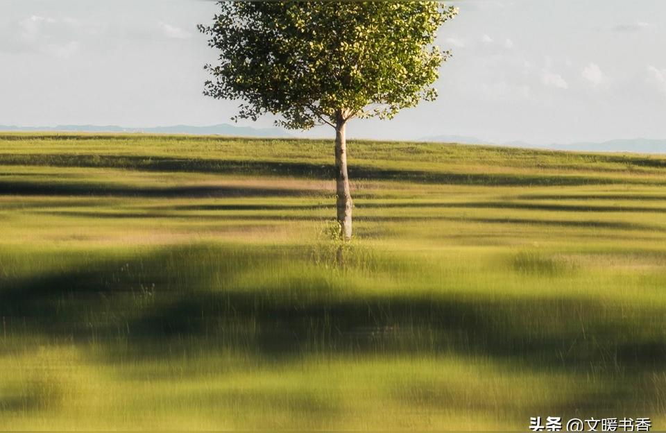 怎样判断一个男人喜欢你,一个男生对一个女生说