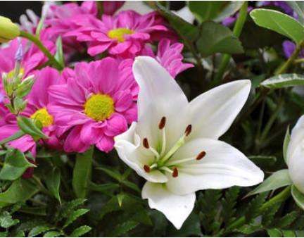 测测在班上有没有人暗恋你有哪些笑死人的谐音