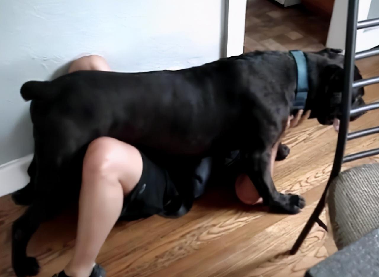 为什么不3日19日已经被法院判刑为什么到现在也不收监