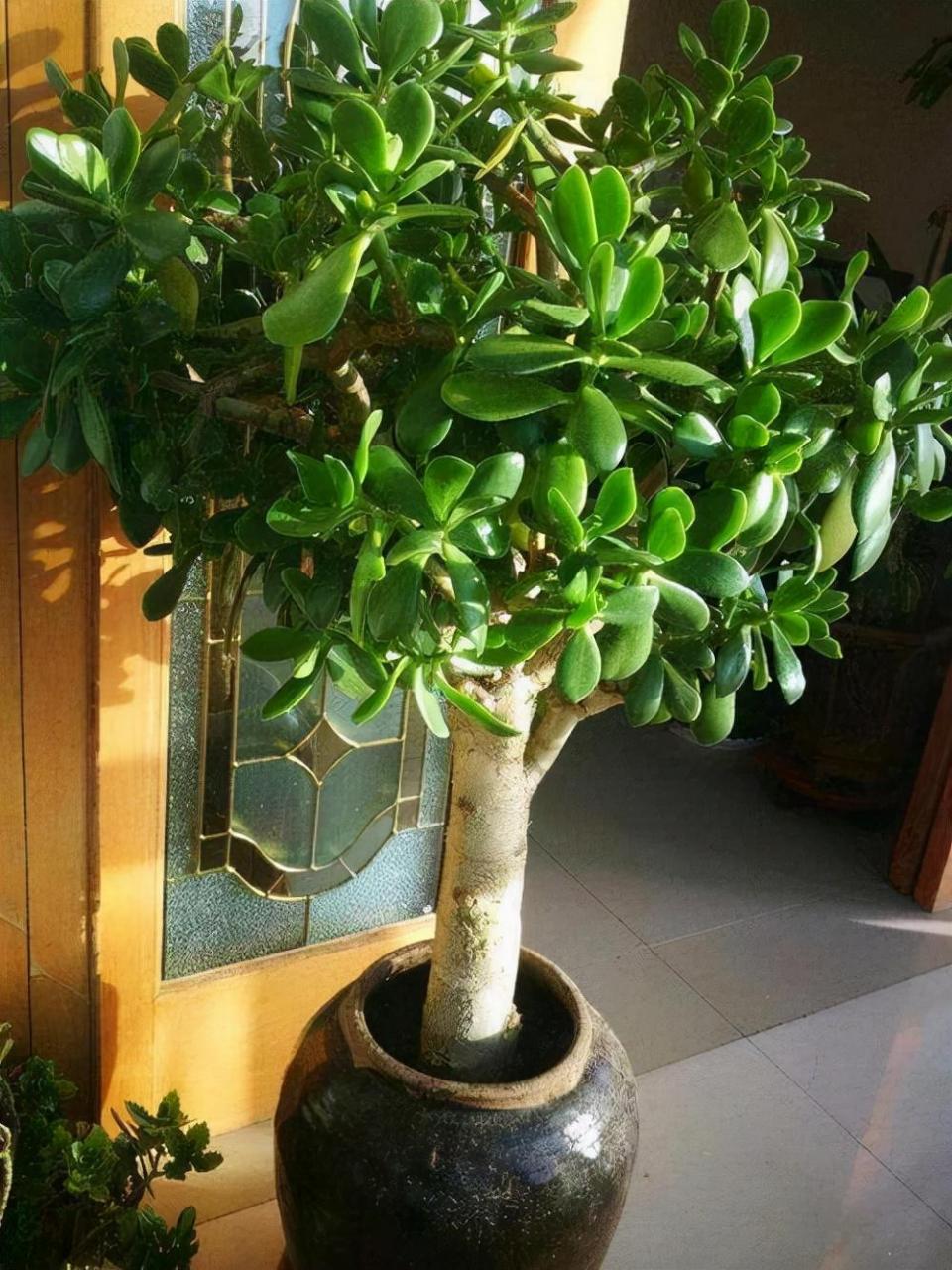 怎样才能快速长高女生五年级的女学生该如何快速长高